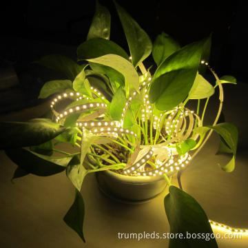 Surprise! nonwaterproof SMD flexible led strip ribbon